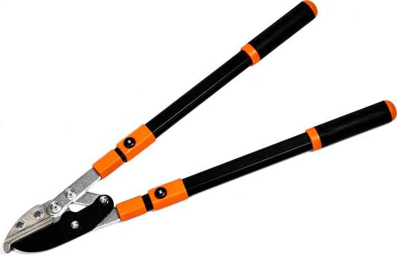 Quel coupe branches à Toulouse est le plus adapté pour tailler des arbres fruitiers dans un jardin ?