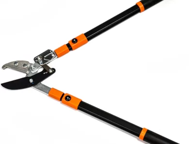 Peut-on utiliser un coupe branches à Toulouse pour entretenir des haies épaisses sans difficulté ?