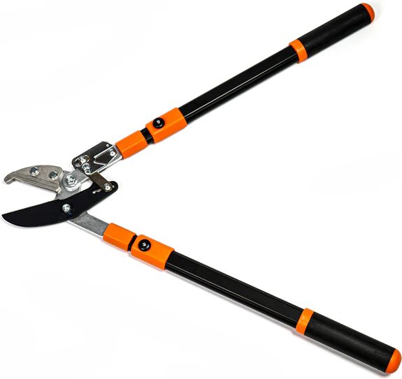 Peut-on utiliser un coupe branches à Toulouse pour entretenir des haies épaisses sans difficulté ?