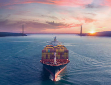 Le TCO flotte permet-il d’anticiper les besoins de renouvellement du parc ?