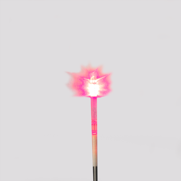 Quels critères techniques faut-il comparer entre plusieurs solutions de Laser proctologie ?