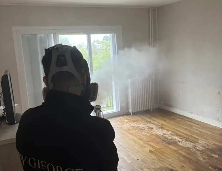 Comment nettoyer une maison insalubre à Blois ?