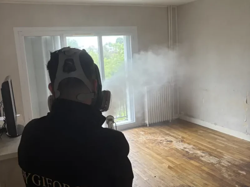 Comment nettoyer une maison insalubre à Blois ?